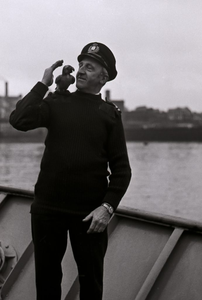 Sailor with parrot on shoulder