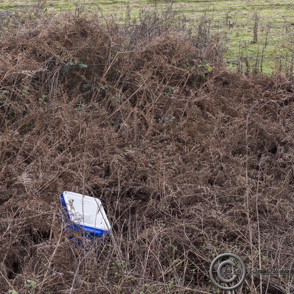 Cold box in bracken