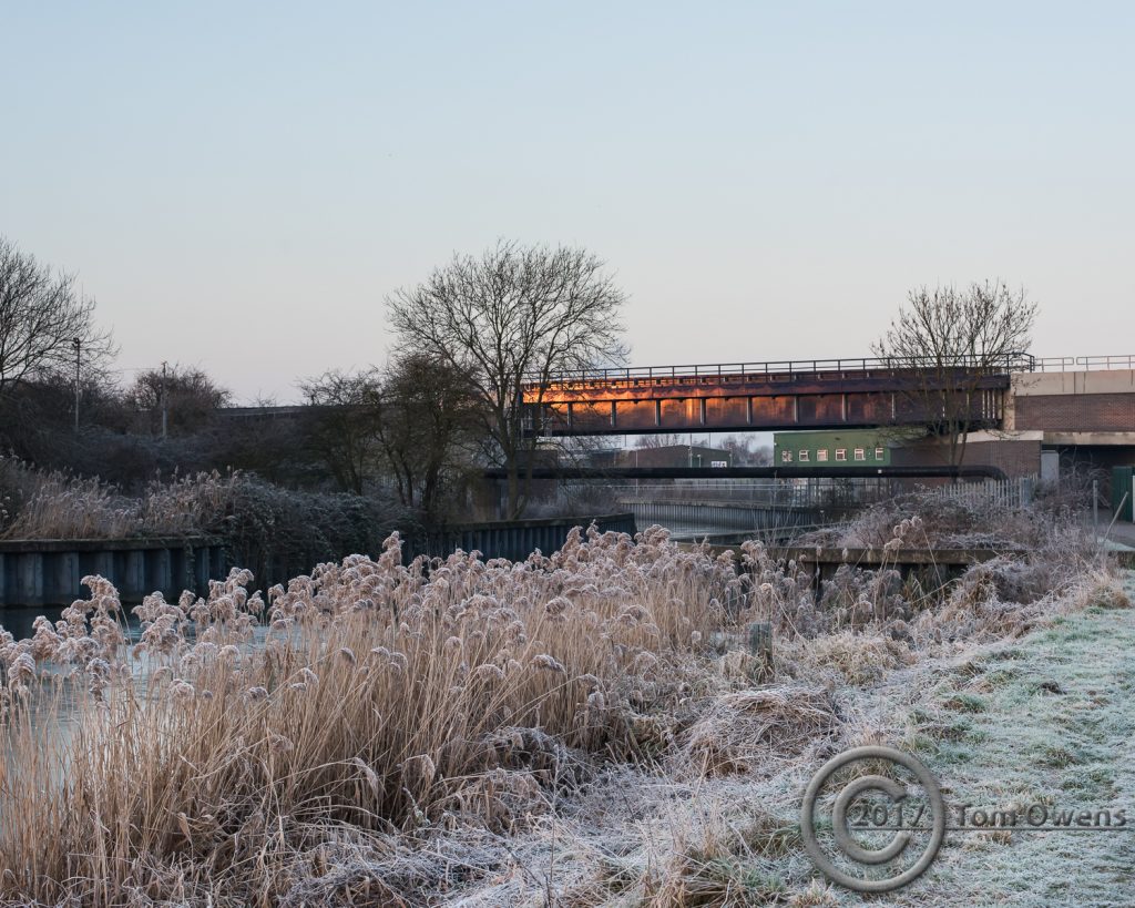 Sunlit railway bridge