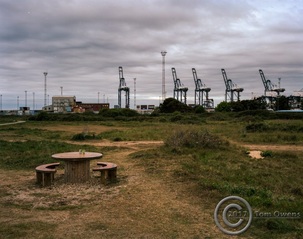 Picnic table with 2 tins with docks in background