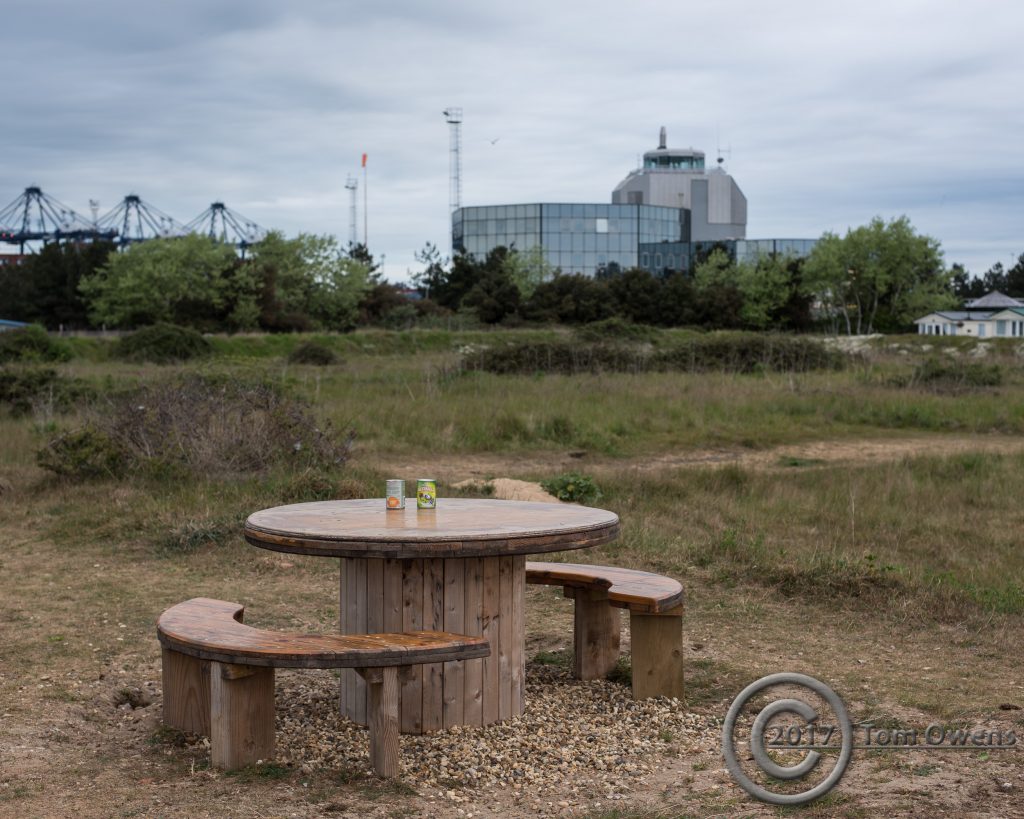 Tins of meat balls on picnic table with view of Custom House