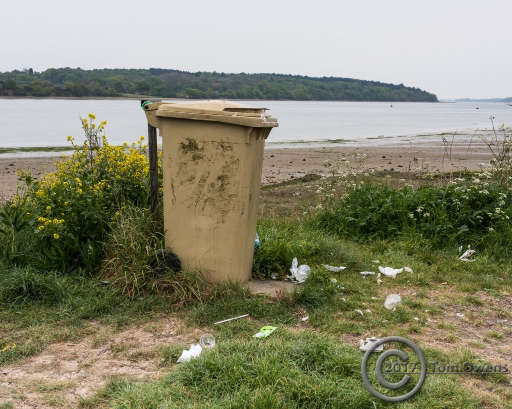 Litter outside a bin
