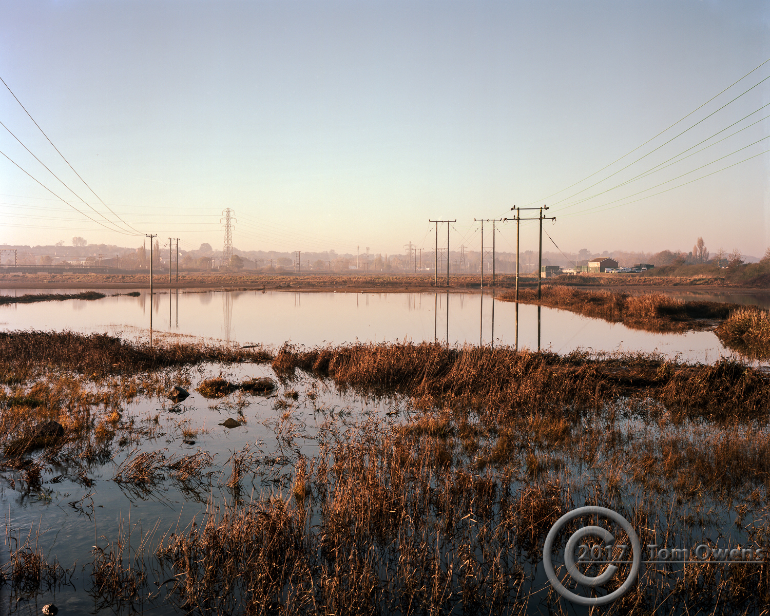 Flooded hay meadow with power lines